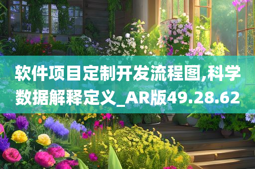 软件项目定制开发流程图,科学数据解释定义_AR版49.28.62