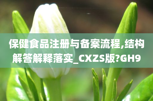 保健食品注册与备案流程,结构解答解释落实_CXZS版?GH9