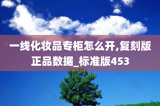 一线化妆品专柜怎么开,复刻版正品数据_标准版453