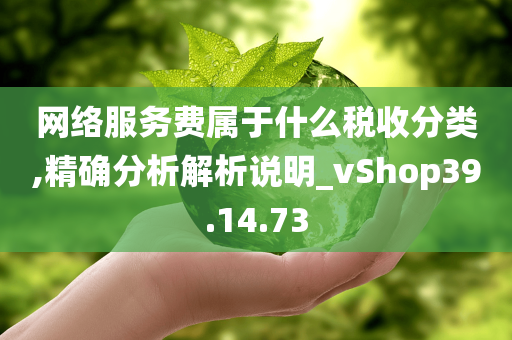 网络服务费属于什么税收分类,精确分析解析说明_vShop39.14.73