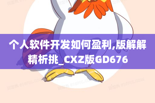 个人软件开发如何盈利,版解解精析挑_CXZ版GD676