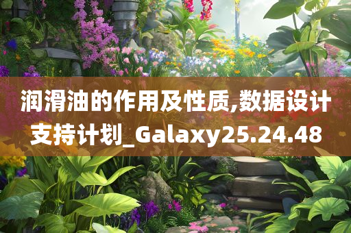 润滑油的作用及性质,数据设计支持计划_Galaxy25.24.48