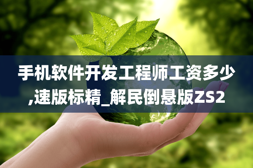 手机软件开发工程师工资多少,速版标精_解民倒悬版ZS2