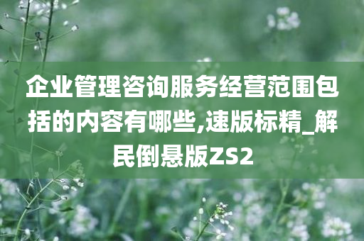 经营范围 第21页