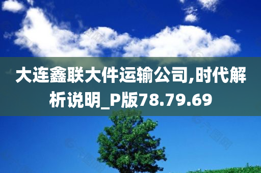 大连鑫联大件运输公司,时代解析说明_P版78.79.69