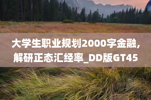 大学生职业规划2000字金融,解研正态汇经率_DD版GT45