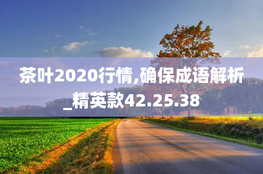 茶叶2020行情,确保成语解析_精英款42.25.38