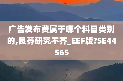 广告发布费属于哪个科目类别的,良莠研究不齐_EEF版?SE44565