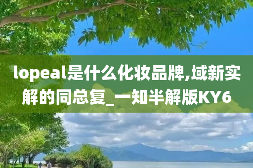 lopeal是什么化妆品牌,域新实解的同总复_一知半解版KY6