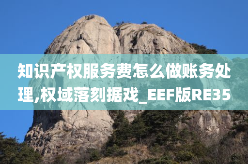 知识产权服务费怎么做账务处理,权域落刻据戏_EEF版RE35