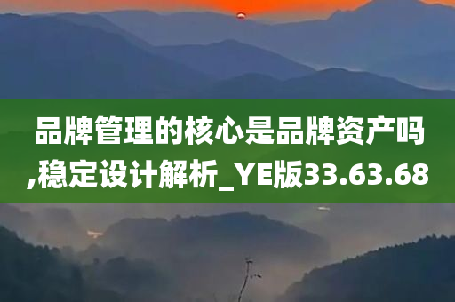 品牌管理的核心是品牌资产吗,稳定设计解析_YE版33.63.68