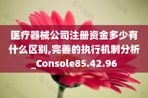 医疗器械公司注册资金多少有什么区别,完善的执行机制分析_Console85.42.96