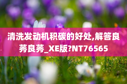 清洗发动机积碳的好处,解答良莠良莠_XE版?NT76565