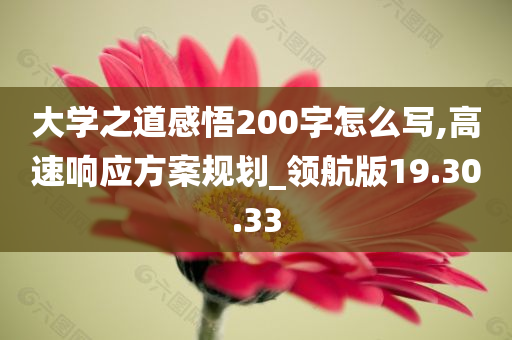 大学之道感悟200字怎么写,高速响应方案规划_领航版19.30.33