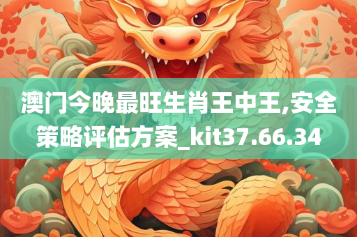 澳门今晚最旺生肖王中王,安全策略评估方案_kit37.66.34