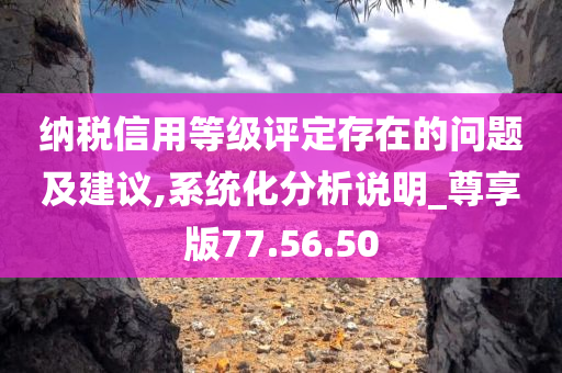 纳税信用等级评定存在的问题及建议,系统化分析说明_尊享版77.56.50