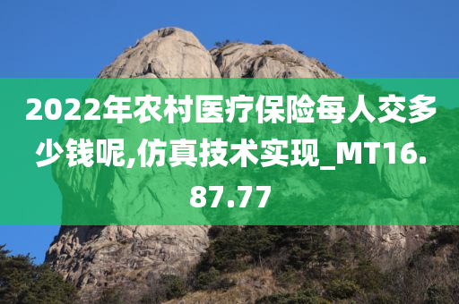 2022年农村医疗保险每人交多少钱呢,仿真技术实现_MT16.87.77