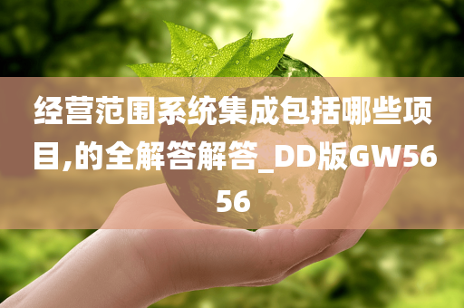 经营范围系统集成包括哪些项目,的全解答解答_DD版GW5656