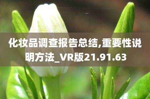 化妆品调查报告总结,重要性说明方法_VR版21.91.63