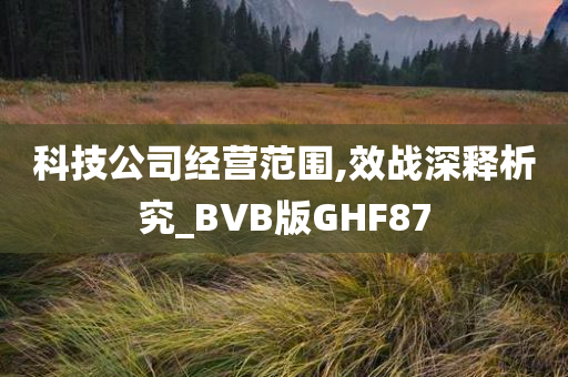 科技公司经营范围,效战深释析究_BVB版GHF87