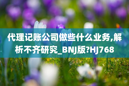 代理记账公司做些什么业务,解析不齐研究_BNJ版?HJ768