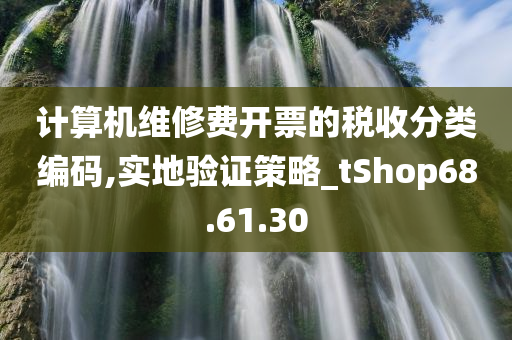 计算机维修费开票的税收分类编码,实地验证策略_tShop68.61.30