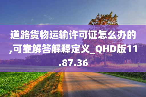 道路货物运输许可证怎么办的,可靠解答解释定义_QHD版11.87.36