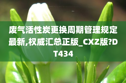 废气活性炭更换周期管理规定最新,权威汇总正版_CXZ版?DT434