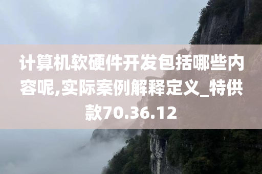 计算机软硬件开发包括哪些内容呢,实际案例解释定义_特供款70.36.12