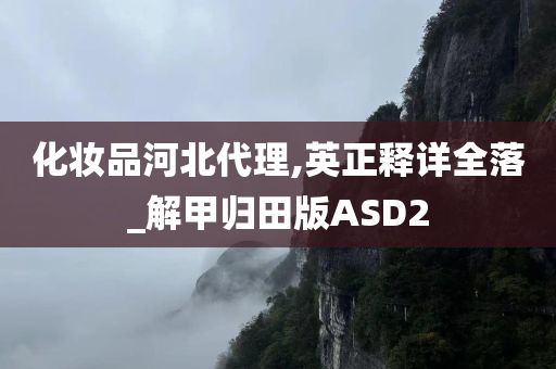 化妆品河北代理,英正释详全落_解甲归田版ASD2