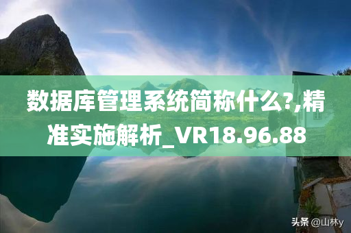 数据库管理系统简称什么?,精准实施解析_VR18.96.88