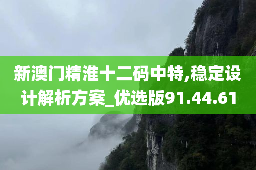 新澳门精淮十二码中特,稳定设计解析方案_优选版91.44.61