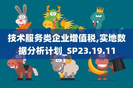 技术服务类企业增值税,实地数据分析计划_SP23.19.11