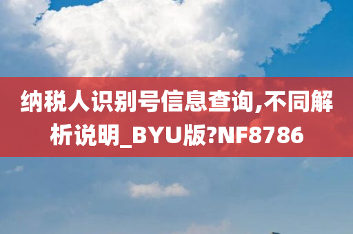 纳税人识别号信息查询,不同解析说明_BYU版?NF8786