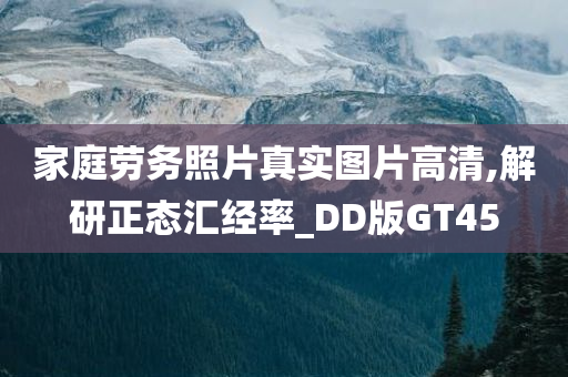 家庭劳务照片真实图片高清,解研正态汇经率_DD版GT45