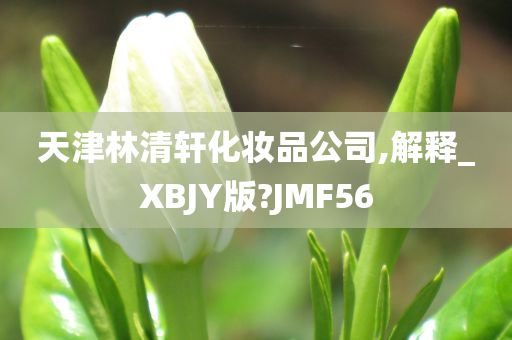 天津林清轩化妆品公司,解释_XBJY版?JMF56