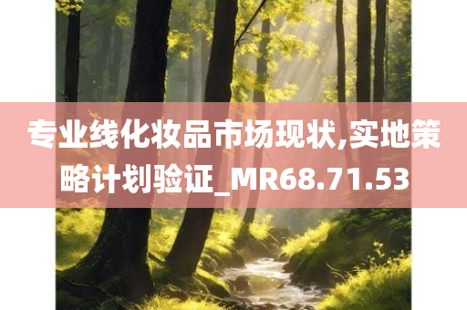 专业线化妆品市场现状,实地策略计划验证_MR68.71.53