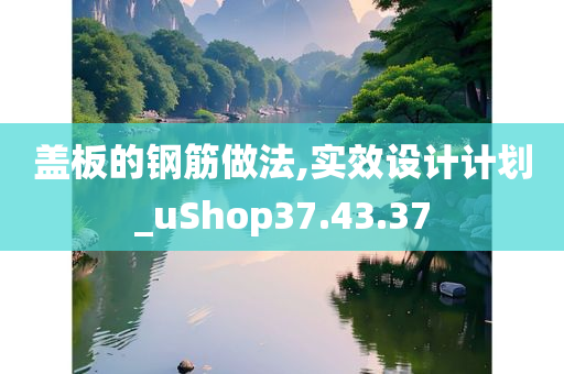 盖板的钢筋做法,实效设计计划_uShop37.43.37