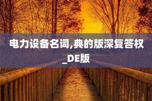 电力设备名词,典的版深复答权_DE版