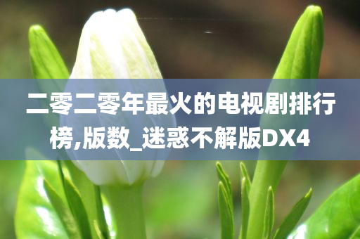 二零二零年最火的电视剧排行榜,版数_迷惑不解版DX4