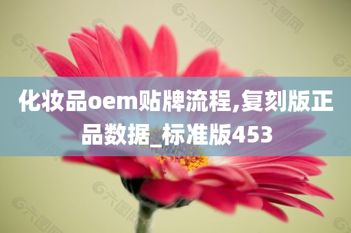 化妆品oem贴牌流程,复刻版正品数据_标准版453