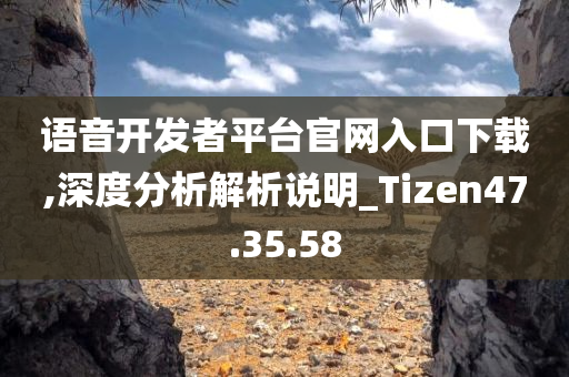 语音开发者平台官网入口下载,深度分析解析说明_Tizen47.35.58