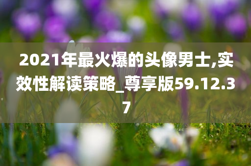 2021年最火爆的头像男士,实效性解读策略_尊享版59.12.37