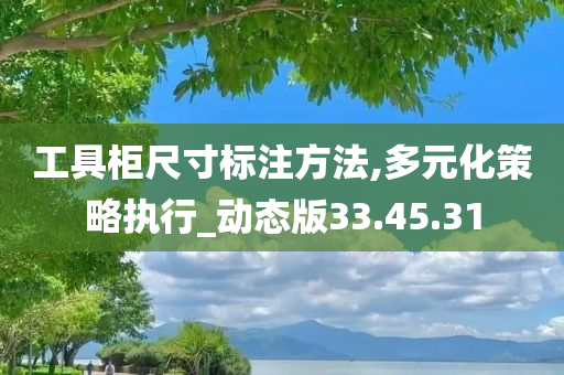 工具柜尺寸标注方法,多元化策略执行_动态版33.45.31