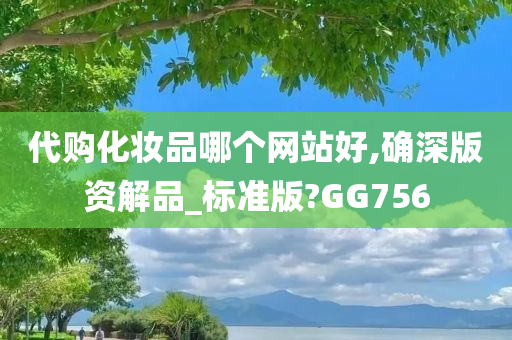 代购化妆品哪个网站好,确深版资解品_标准版?GG756