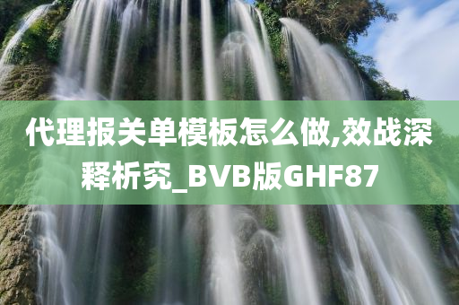 代理报关单模板怎么做,效战深释析究_BVB版GHF87