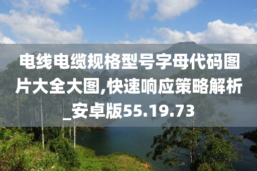 电线电缆规格型号字母代码图片大全大图,快速响应策略解析_安卓版55.19.73