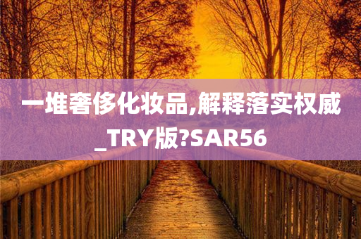 一堆奢侈化妆品,解释落实权威_TRY版?SAR56