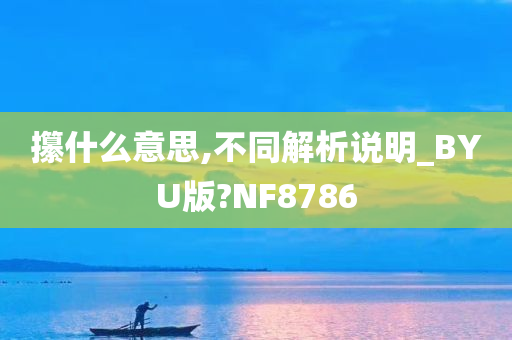 攥什么意思,不同解析说明_BYU版?NF8786