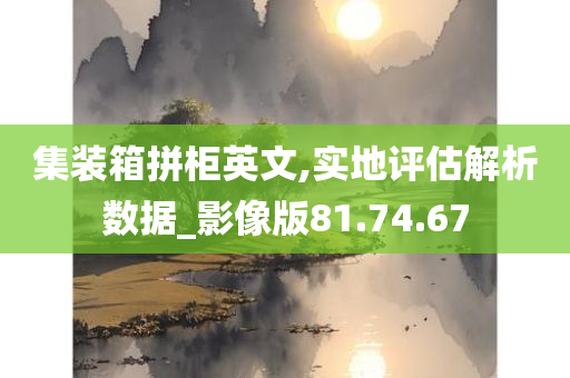 集装箱拼柜英文,实地评估解析数据_影像版81.74.67